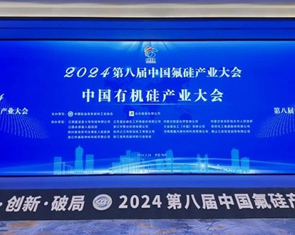 「科学技術革新が再び賞を受賞-Genvanシリコーンは「中国のフッ素シリコン産業革新的な企業」として認められました